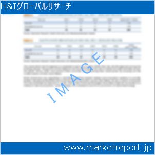 市場と産業調査レポートのイメージ